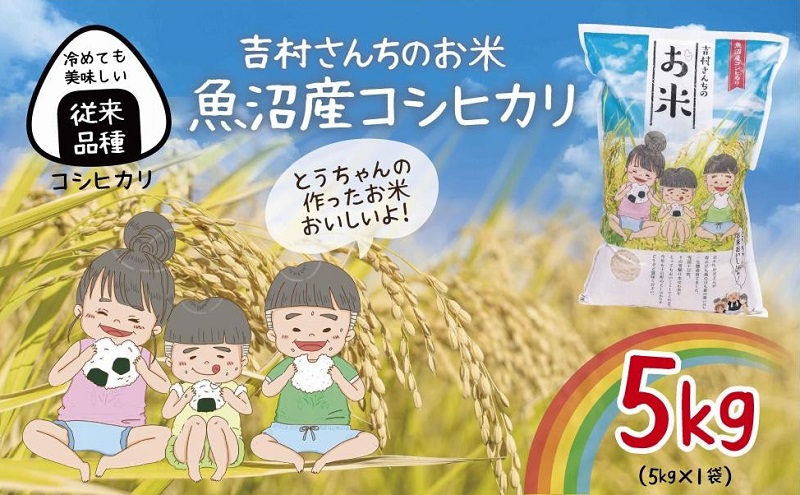 ｜従来品種｜ 魚沼産 コシヒカリ 5kg 米 こしひかり お米 コメ 新潟 魚沼 魚沼産 白米 送料無料 新潟県産 精米 産直 農家直送 お取り寄せ 吉村さんちのお米 新潟県 十日町市
