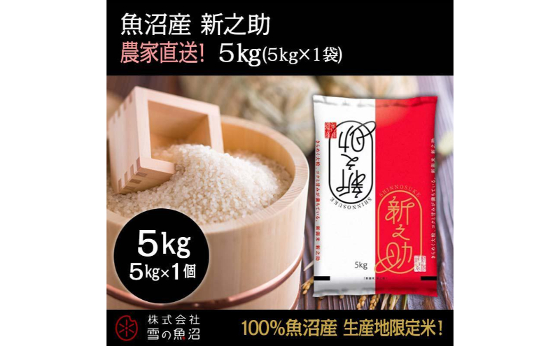 令和7年産！魚沼産 新之助【農家直送!】5kg×1袋 お米 米 コメ