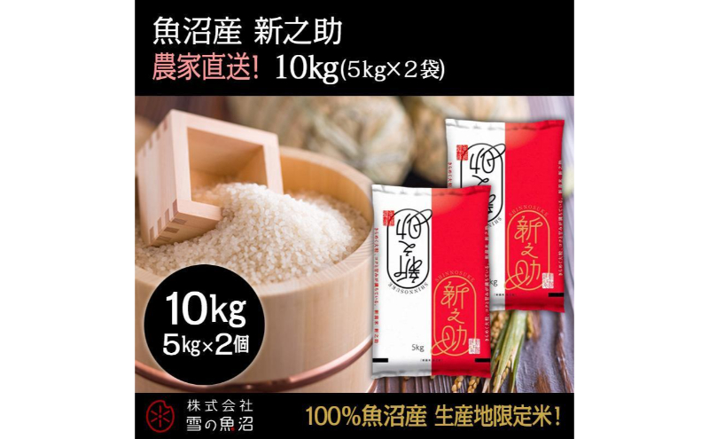 令和7年産！魚沼産 新之助【農家直送!】5kg×2袋 お米 米 コメ