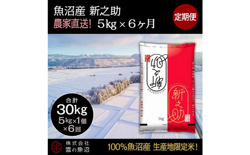 【令和7年産】定期便！魚沼産 新之助【合計30kg】5kg×6回 お米 米 こめ コメ