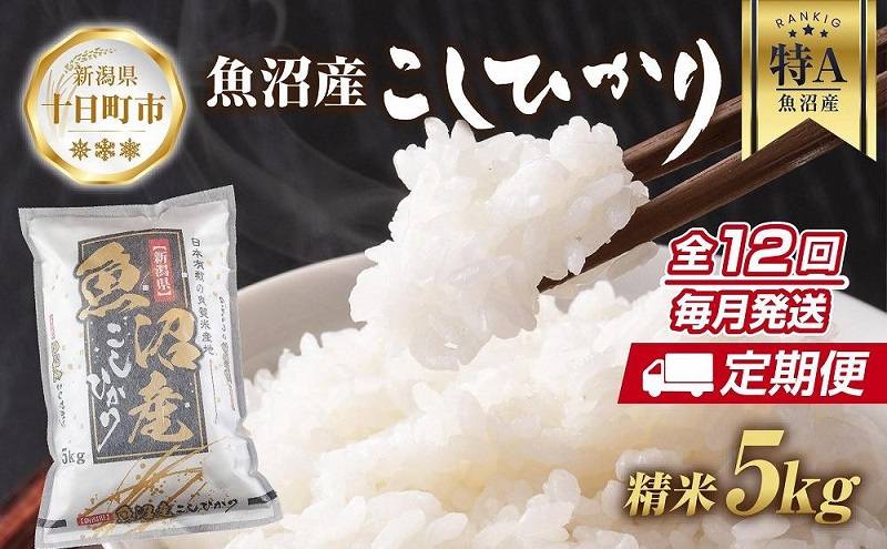 【定期便】新潟県 魚沼産 コシヒカリ お米 5kg×計12回 精米済み 年間 毎月発送 こしひかり （お米の美味しい炊き方ガイド付き） ご飯 ブランド米 銘柄米