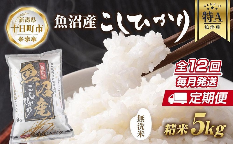 【定期便】｜無洗米｜ 新潟県 魚沼産 コシヒカリ お米 5kg×計12回 精米済み 年間 毎月発送 こしひかり （お米の美味しい炊き方ガイド付き） ご飯 ブランド米 銘柄米