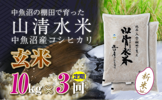【令和8年産 新米】 【定期便／全3回】玄米10kg 新潟県魚沼