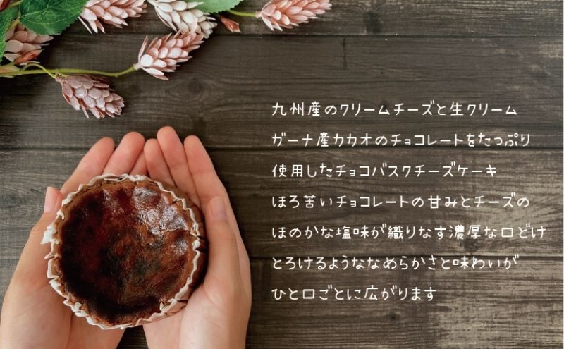 バスクチーズケーキ2種4個詰合せ　お菓子 スイーツ デザート  おやつ 甘い 手作り チョコ チーズ ケーキ 新潟県 十日町市