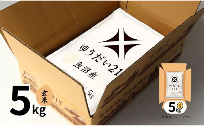 米 魚沼産ゆうだい21(玄米)5kg 新潟市 十日町市