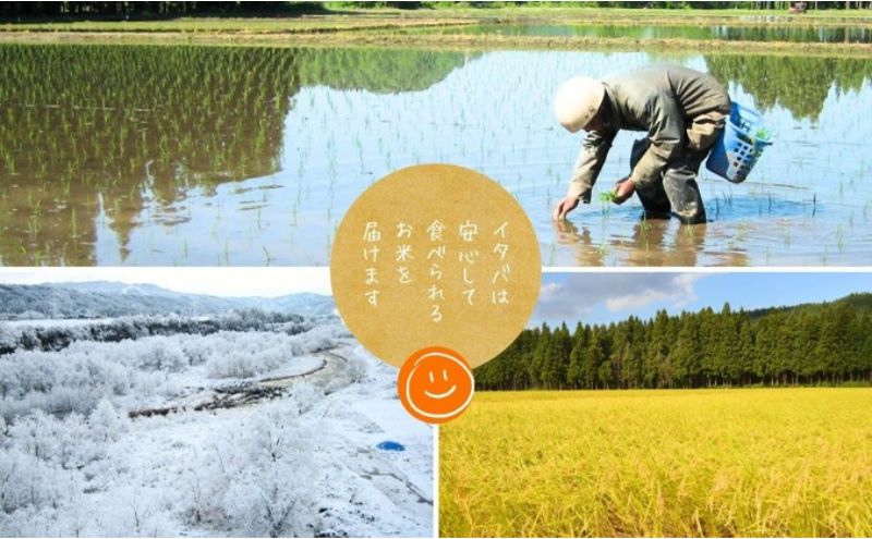 米 魚沼産ゆうだい21(玄米)5kg 新潟市 十日町市