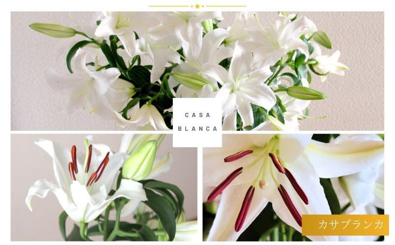 カサブランカ(規格外品)10本束(5本束×2) 花 お花 規格外 花束 切り花 新潟県 十日町市