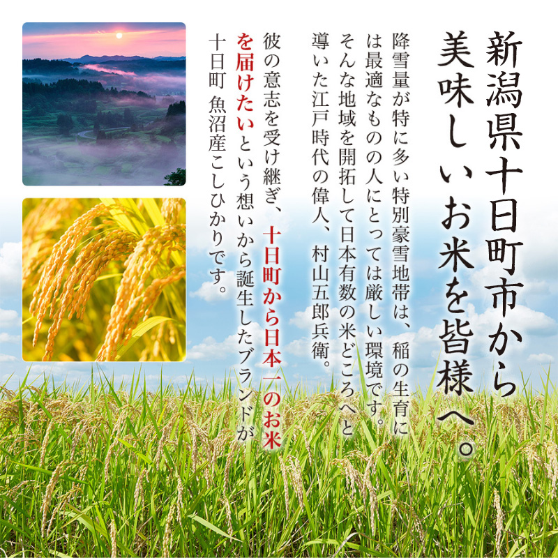【令和7年産米】魚沼産こしひかり(十日町地域) 精米 2kg 1月配送 お米 精米 こめ ご飯 白米 旧：五郎兵衛