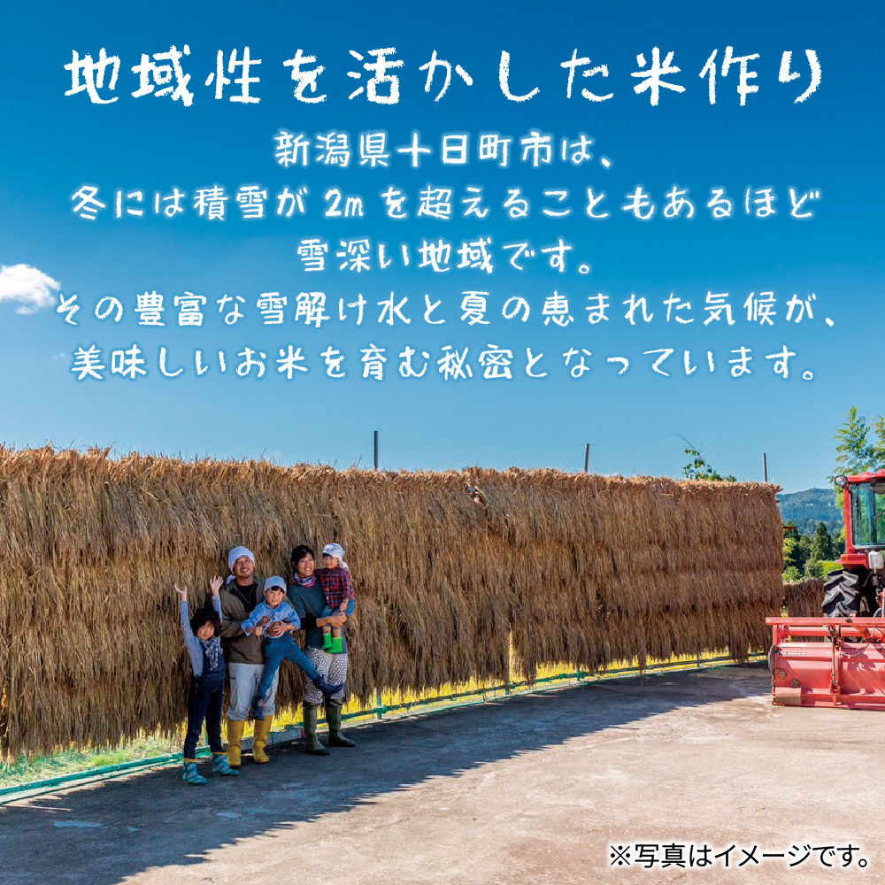 【3か月連続定期便】吉村さんちのくろ米御飯 20パック入りくろ米 うるち米 パック 米 コメ お米 ごはん ご飯 黒米 パックご飯 こしひかり コシヒカリ 新潟県産 魚沼 国産 新潟県 十日町