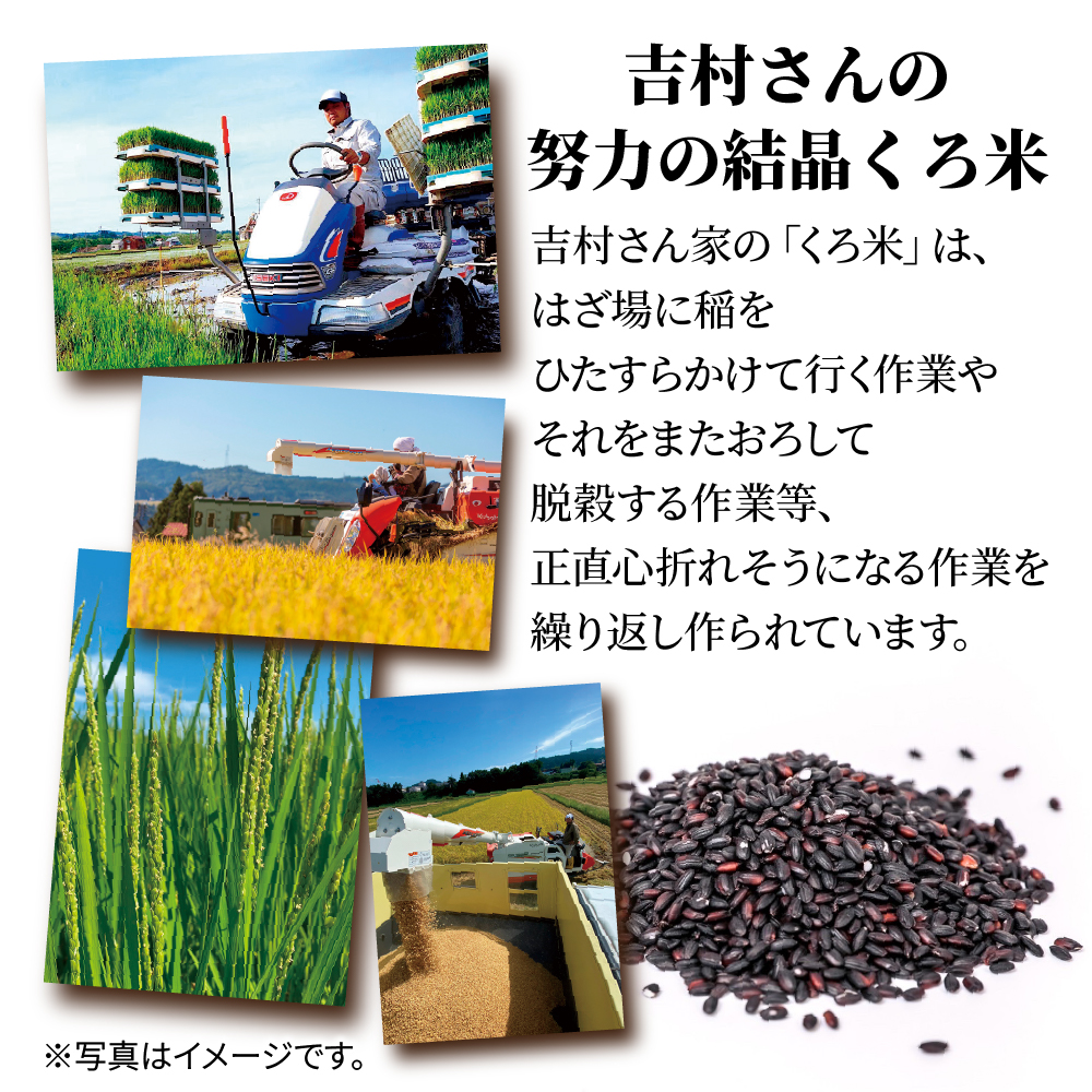【2か月連続定期便】吉村さんちのくろ米御飯 20パック入りくろ米 うるち米 パック 米 コメ お米 ごはん ご飯 黒米 パックご飯 こしひかり コシヒカリ 新潟県産 魚沼 国産 新潟県 十日町