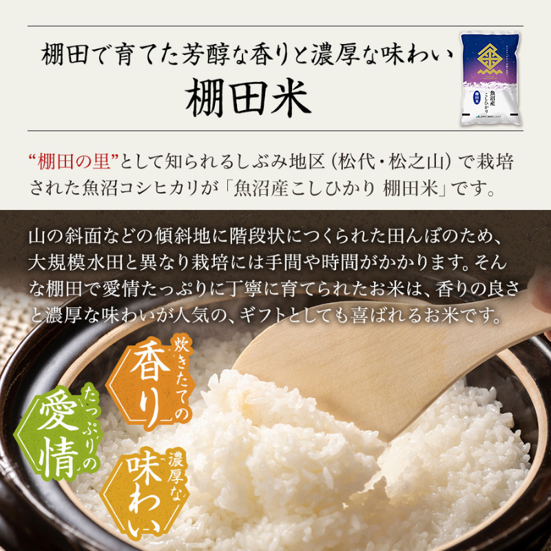 【令和7年産米】魚沼産こしひかり 棚田米(十日町地域) 精米 5kg 4月配送 お米 精米 こめ ご飯 白米 旧：五郎兵衛