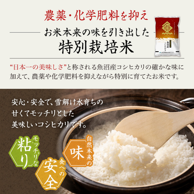 【令和7年産米】特別栽培米 魚沼産こしひかり(十日町地域) 精米 5kg 4月配送 お米 精米 こめ ご飯 白米 特別栽培  旧：五郎兵衛