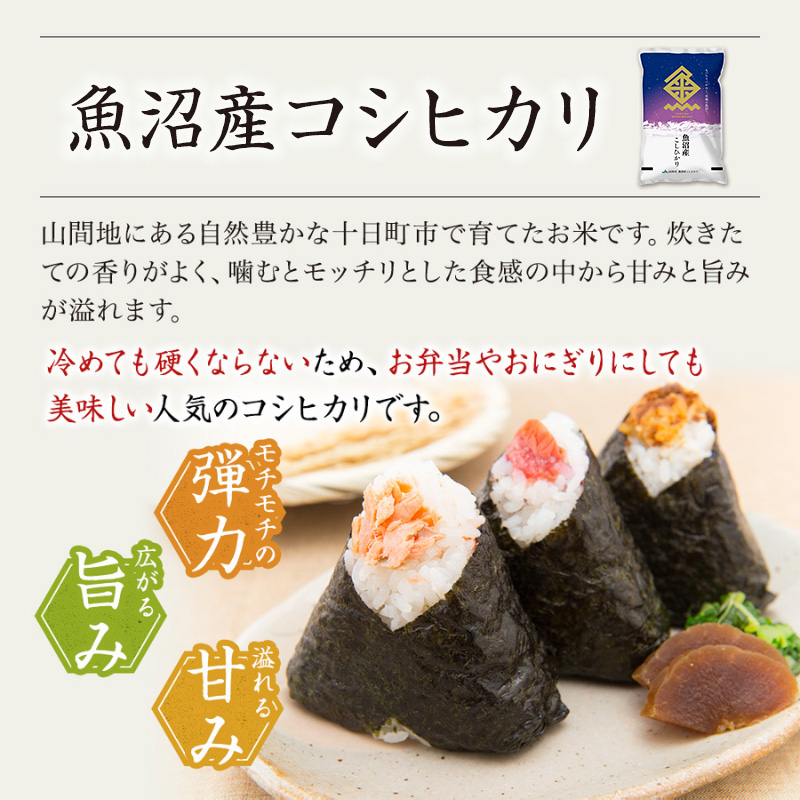 【令和7年産米】魚沼産こしひかり(十日町地域) 精米 2kg 7月配送 お米 精米 こめ ご飯 白米 旧：五郎兵衛