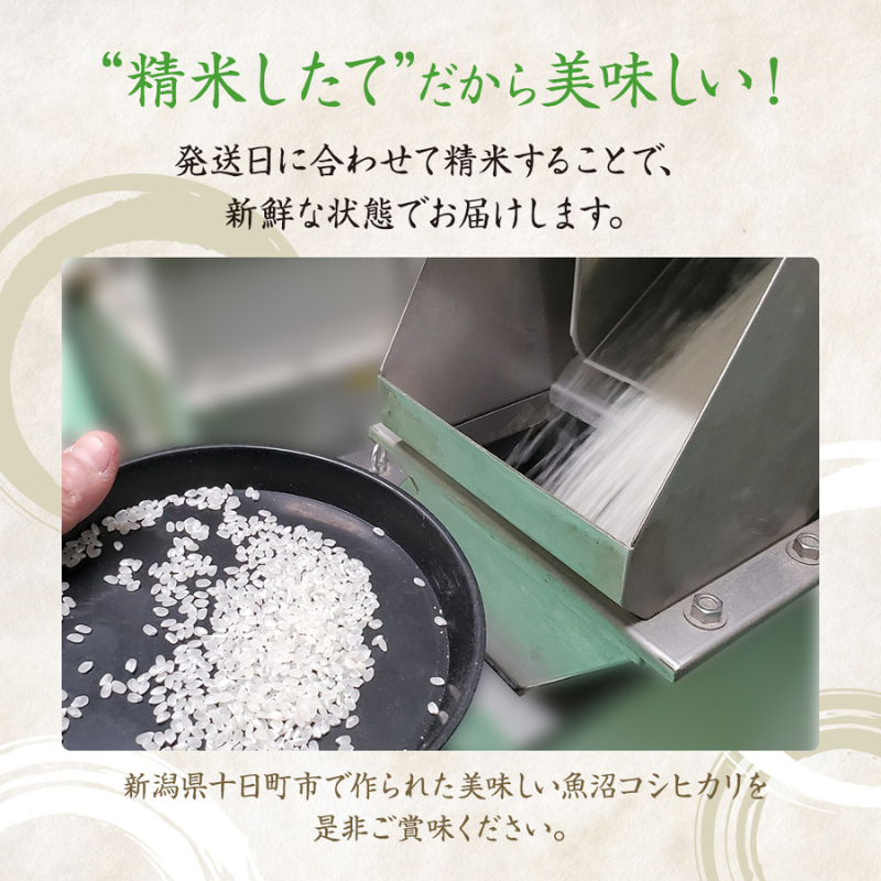 【令和7年産米】魚沼産こしひかり 棚田米(十日町地域) 精米 2kg 7月配送 お米 精米 こめ ご飯 白米 旧：五郎兵衛