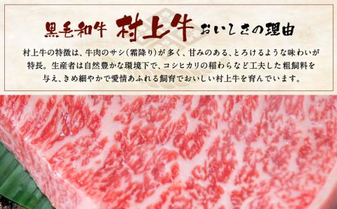 D4002 村上牛 A4等級 サーロインステーキ 約200g×2枚 計約400g