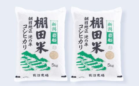 【令和7年産米】新潟県村上市岩船産 棚田米 コシヒカリ 玄米 10kg AB4041