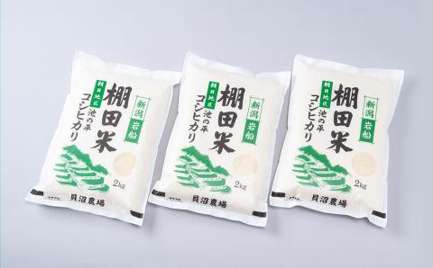 【令和7年産米】新潟県村上市岩船産 棚田米 コシヒカリ 6kg A4184