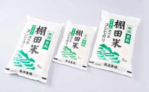 【令和7年産米】新潟県村上市岩船産 棚田米 コシヒカリ 12kg B4107