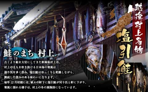 B4016 塩引鮭半身（スライス）