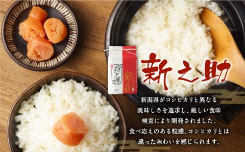 【新米受付・令和8年産米】 新潟県村上市岩船産　新之助　精米2㎏×3個セット NA4152