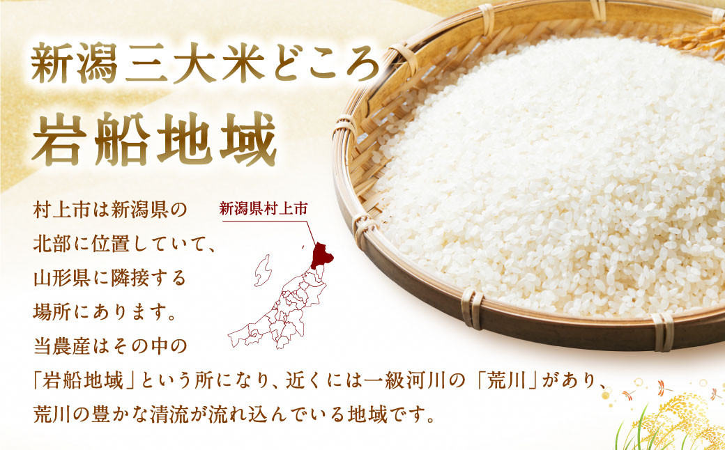 【令和7年産米】新潟県村上市岩船産 新之助 5kg　1013002