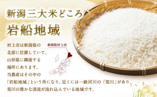 【新米受付・令和8年産米】新潟県村上市岩船産 新之助10kg(5kg×2ヶ月コース)1013007N