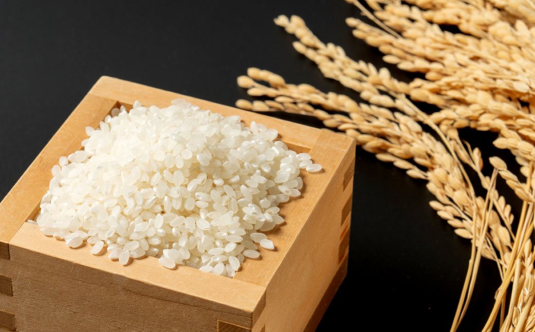 【令和6年産米】牛とつくったお米 新潟県岩船産 コシヒカリ 精米 5kg