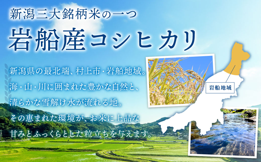【令和7年産米】新潟県村上市岩船産コシヒカリ5kg　1102001