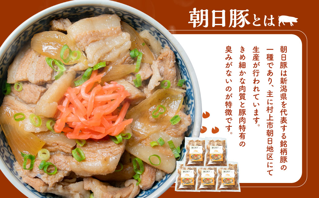 A4167 ジューシー朝日豚丼の具210g×5袋