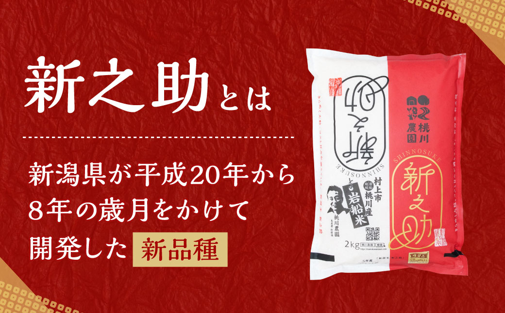 【新米受付・令和8年産米】 新潟県村上市岩船産　特別栽培米 新之助6kg NA4100