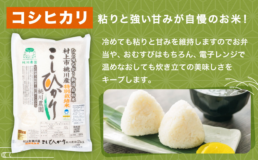 【新米受付・令和7年産米】 NA4209  新潟県村上市桃川産  特別栽培コシヒカリ6kg（2kg×3袋）