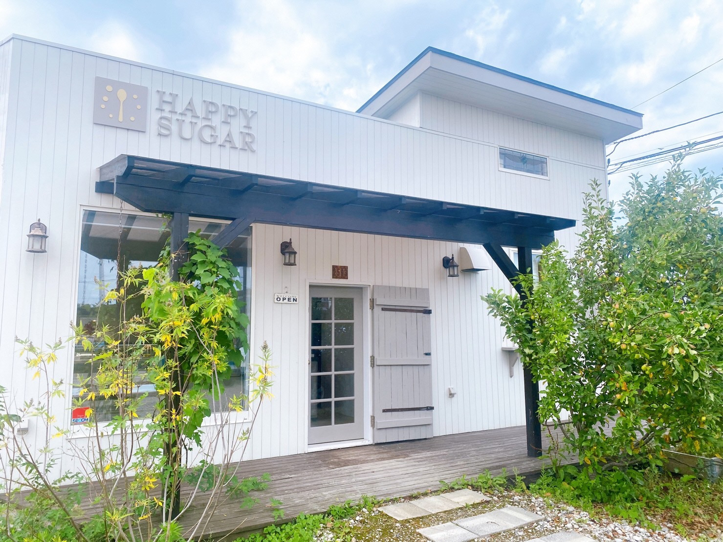 オーガニック ブルーベリー パイ (直径16cm) B4124