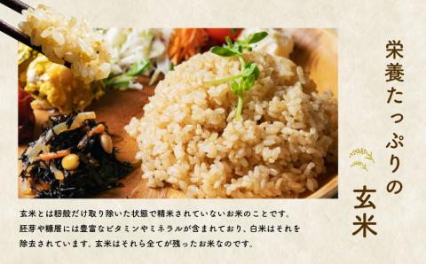 【新米受付・令和8年産米】特別栽培米 新潟県村上市岩船産 コシヒカリ玄米 10kg（5kg×2袋）NAB4019