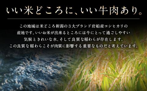霜降りが旨い!!村上牛 肩ロース すき焼用250g×1パック 2~3人前 にいがた和牛 santaふぁーむ 生産者直送   [AB4029]