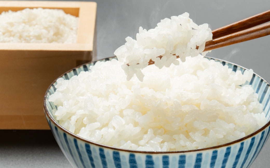 【令和7年産米】牛とつくったお米 新潟県岩船産 コシヒカリ 精米 5kg 1041001