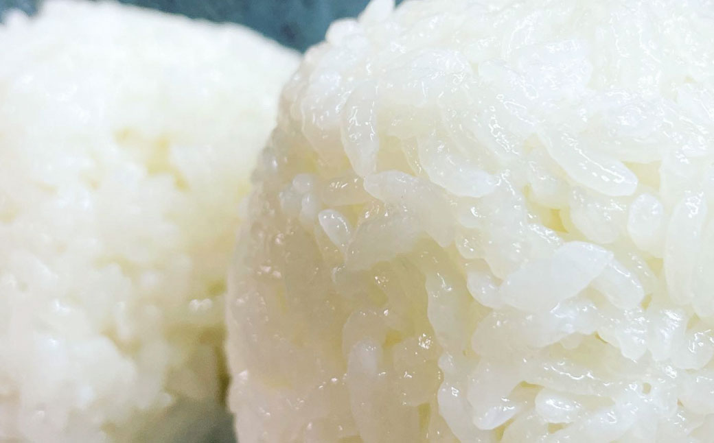 【新米受付・令和8年産米】空舞米 新潟県村上市岩船産 コシヒカリ 精米 12kg（5kg×2袋、2kg×1袋） 1063001N