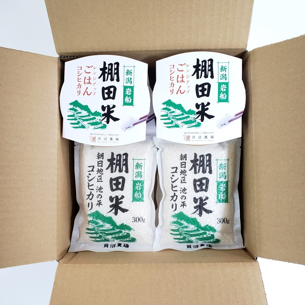 【令和7年産米】新潟県村上市岩船産 棚田米コシヒカリ 白米1.2kg（300g×4袋）+ 棚田米コシヒカリのパックごはん(150g×4個)セット 計1.8kg 新潟県岩船産 1067082