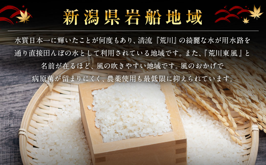 【新米受付・令和8年産米】 新潟県村上市岩船産コシヒカリ 精米2kg×3個セット NA4091