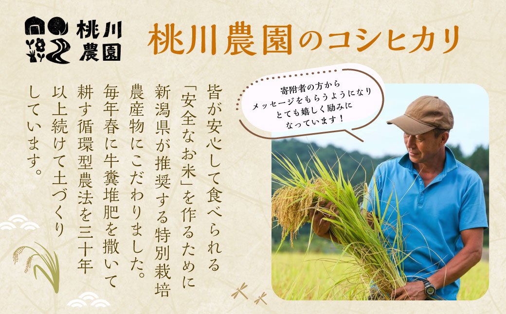 【新米受付・令和8年産米】 新潟県村上市桃川産 特別栽培コシヒカリ10kg（5kg×2袋）NAB4038
