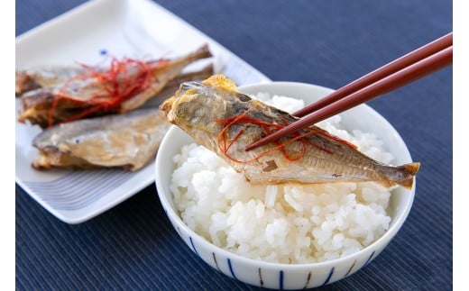 新潟県村上市笹川流れで水揚げ　骨まで食べられる！旬の魚の干物6点セット（店長おまかせ）1057002