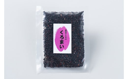 【新米受付・令和7年産米】NA4170 【新潟県岩船産】特別栽培米・ちょっと贅沢なこしひかり4kg＆古代米50ｇセット