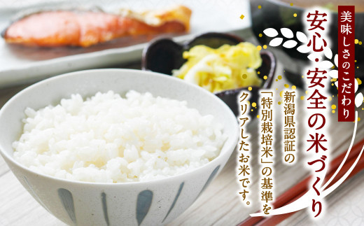 【新米受付・令和8年産米】新潟県村上市岩船産　特別栽培米コシヒカリ60kg（5kg×12ヶ月コース）1013013N　定期便 毎月 新米予約 お米 白米 こしひかり 精米 村上市