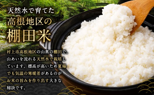 【新米受付・令和8年産米】【定期便：6ヶ月連続でお届け】新潟県村上市岩船産 棚田米コシヒカリ「たかねの花」 10kg×6ヶ月　1104006N