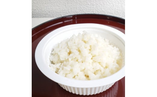 【令和7年産米】【12ヶ月定期便】新潟県村上市岩船産 棚田米コシヒカリ 4kg（2kg×2袋）+パックごはん(150g×1個) ×12ヶ月 1067146