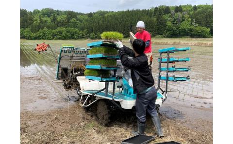 【令和7年産米】新潟県村上市岩船産 こしいぶき 5kg×2袋（合計10kg） 精米 お米 白米 1033001