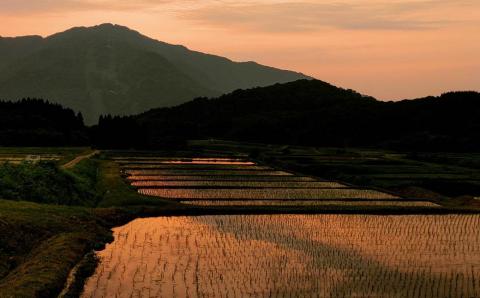 【令和7年産米】新潟県村上市岩船産 棚田米 コシヒカリ 玄米 10kg AB4041
