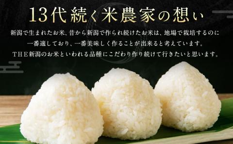 【新米受付・令和8年産米】 新潟県村上市岩船産 大粒でしっかり食感　新潟県岩船産　ゆきん子舞8kg （2kg×4袋） NA4099