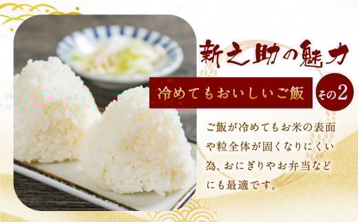 【新米受付・令和8年産米】新潟県村上市岩船産 新之助10kg(5kg×2ヶ月コース)1013007N