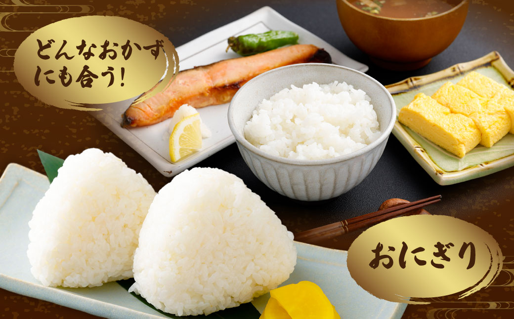 【令和7年産米】新潟県村上市岩船産コシヒカリ10kg（5kg×2袋）　1102002