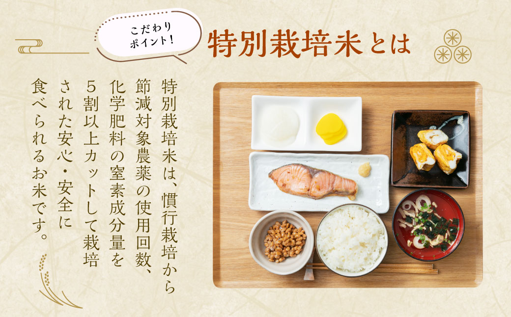 【新米受付・令和7年産米】 NA4209  新潟県村上市桃川産  特別栽培コシヒカリ6kg（2kg×3袋）